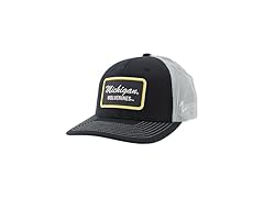 MICHIGAN Dakota Trucker Team Color