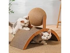 Vertical Arched Cat Claw Ball