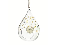 Solar Glass Terrarium