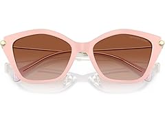 Michael Kors Women's MK2246U Catskills Sunglasses