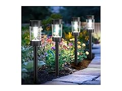 12 Pck Solar Landscape Lighting