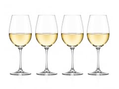 Williams Sonoma Glassware Set (White Wine)