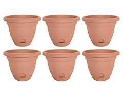 12" Lucca Planter Terra Cotta, 6 pack