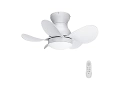 Regair Ceiling Fans with Lights