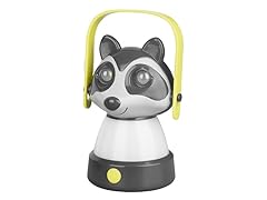 Technical Pro Raccoon Lantern for Kids