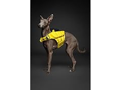 NOAH & PAW Dog Life Jacket- Large
