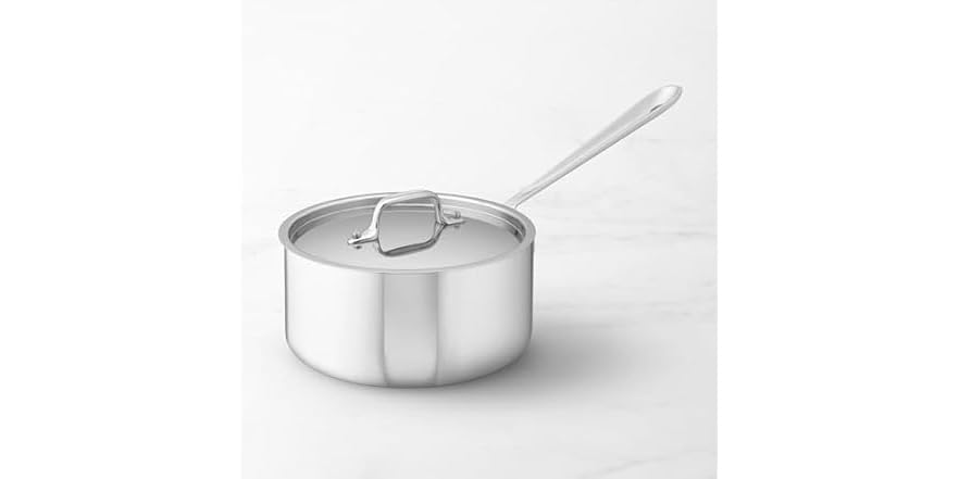 All-Clad Stainless Sauce Pan - 3 qt