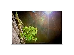 The Narrows - Zion National Park, Utah