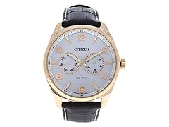 Citizen AO9023-01A Eco-Drive Brown Watch
