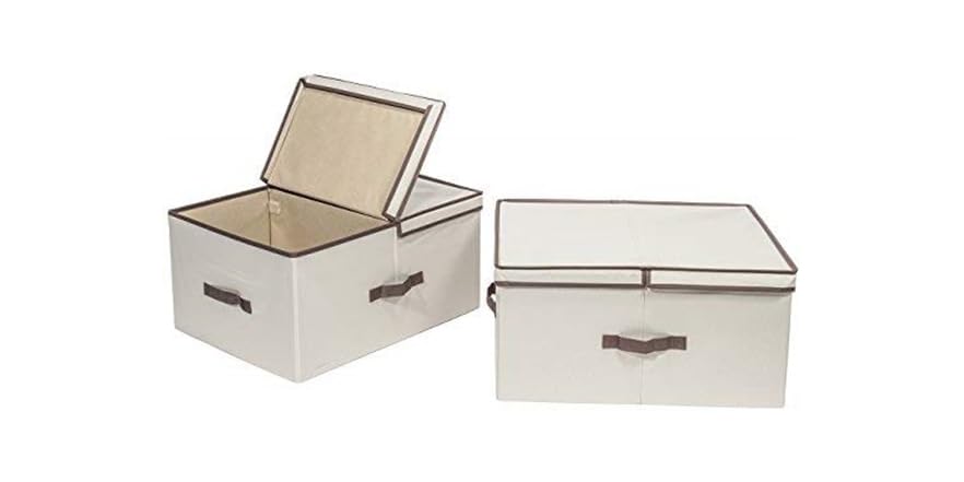 2 Compartment Storage Box, 2 Pack