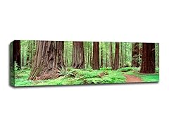 Avenue Of The Giants