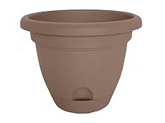 12" Lucca Planter Curated