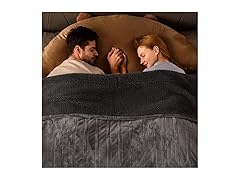 Air Purifier for Large Room