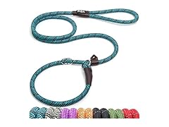 Fida Durable Slip Lead Dog Leash, 6 FT