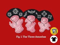 The Three Amoebas