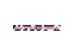C.R. Gibson CPS-25513 Party Sash