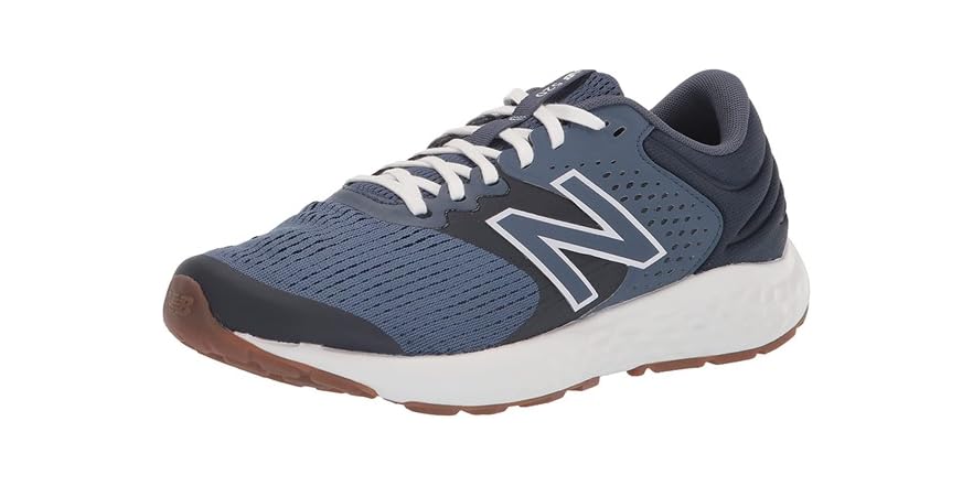 New Balance Men's 520 V7 Running Shoe