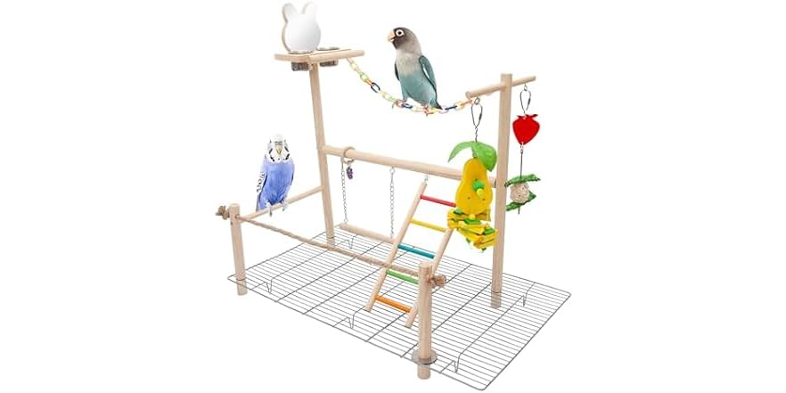 Small Bird Playground for Top of Cage