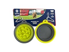 AKC 2-Pack Collapsible Travel Bowls for Dogs- Gray/Green