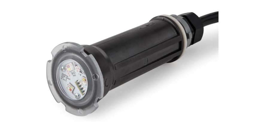 Pentair Pool and Spa 602055 Globrite Pool Light, 100-ft