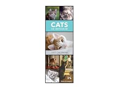 Portico Designs LTD 2025 Cats on Instagram Slim Wall
