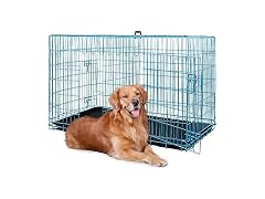 BestPet | Dog Crate | 48" | Blue | Foldable