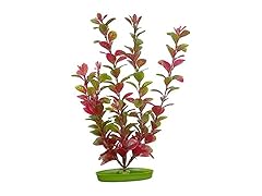 Aquascaper Fish Tank Red Ludwigia Plant