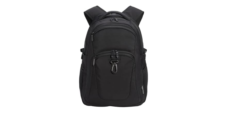 Amazon Basics Travel Laptop Backpack