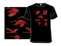 Flock of Flamingos