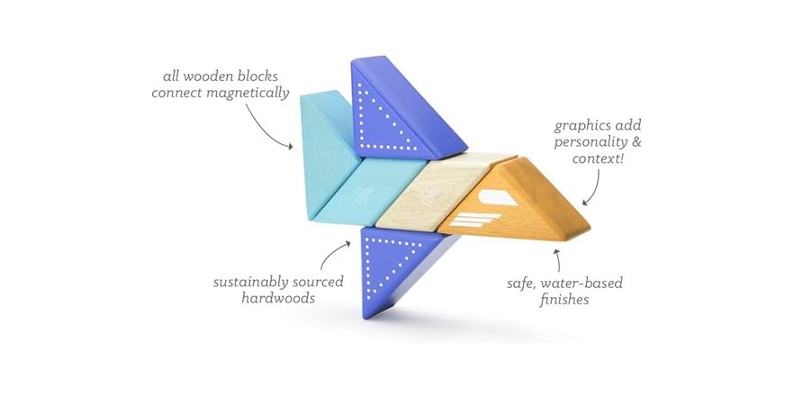 Blocs Magnétiques Travel Pals Tegu - Avion Jet - Jouet En Bois Portable Pour Enfants - Compatible Tous Les Sets Tegu