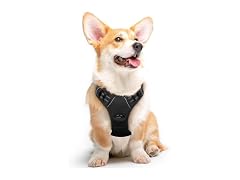 Pet Vest Harness with 2 Leash Clips, Adjusta