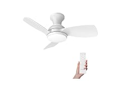 Consciot Ceiling Fan With Lights 30 Inch
