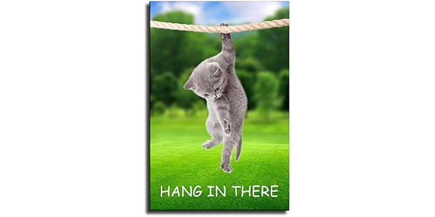 Hang In There Cat Poster