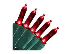 Sunnydaze Decor Smooth LED String Lights Red