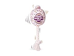 Blow Pop Plush & Rope Dog Toy