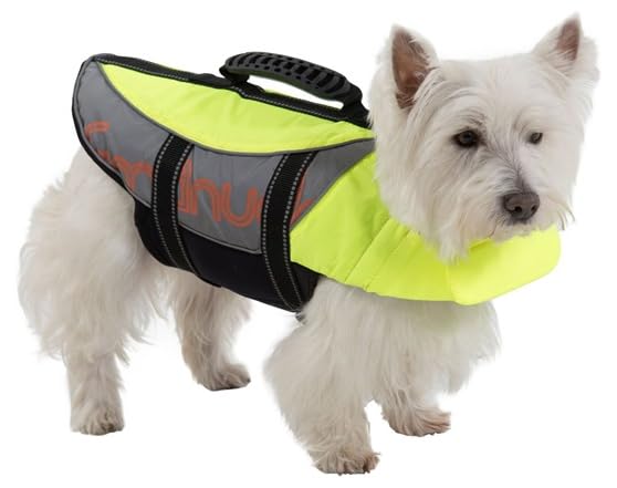 Salty dog life jacket Clearance