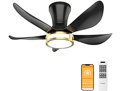 DAMINY Ceiling Fan with Light | 30In