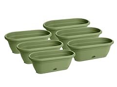 18" Lucca Window Box Living Green, 6 pk