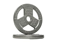 Fitvids Cast Iron Plate Weight 25LB (Pair)