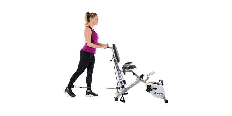 stamina x air exercise bike