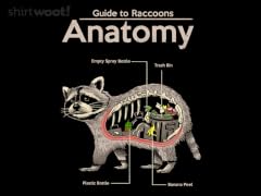 Anatomy of a Raccoon