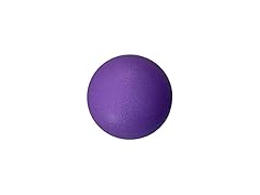 SimpleDog Doggie Dooley Ball Heavy Duty Dog Ball