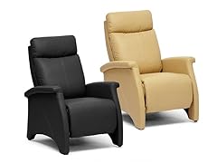 Sequim  Modern Recliner- 2 Colors