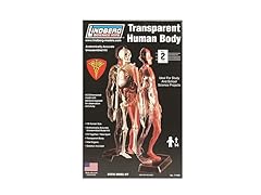 Lindberg Transparent Human Body