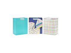 Hallmark Large Birthday Gift Bag Bundle