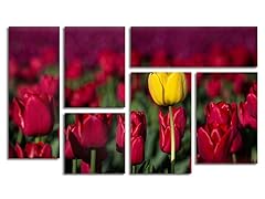 Pierre Leclerc Yellow Tulip