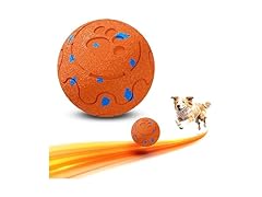 Interactive Dog Ball