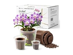 Herrdemia Orchid Repotting Kit