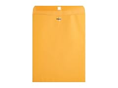 Business Source Heavy-Duty Clasp Envelopes