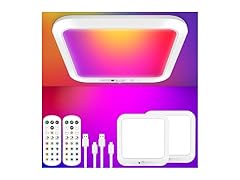 Rechargeable Motion Sensor Ceiling Light with Remote